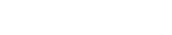 AsserJournaal